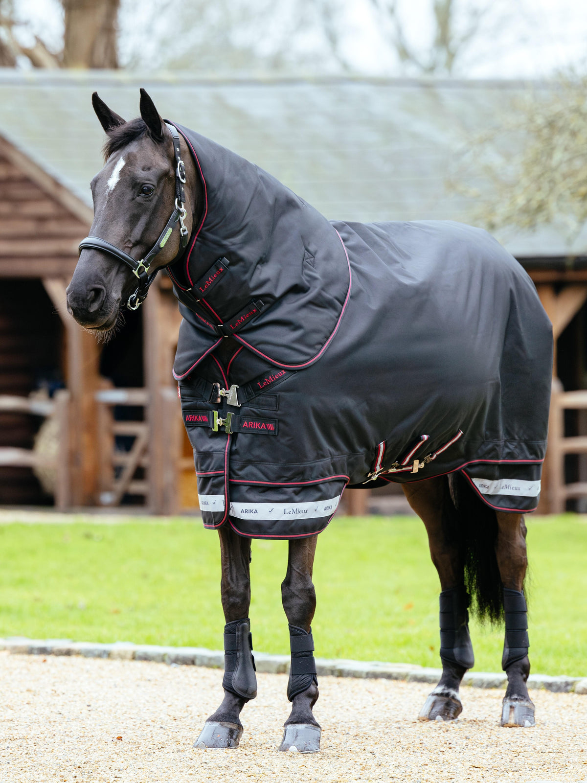 LeMieux AW25 Arika Storm-Tek Rug 350g - Black