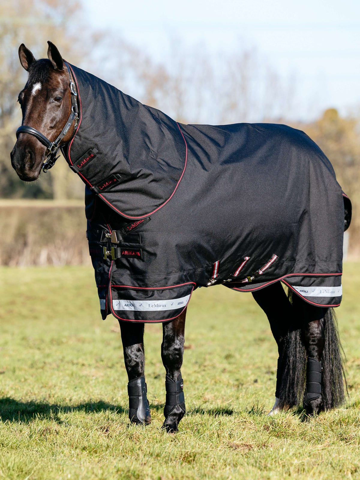 LeMieux AW25 Arika Storm-Tek Rug 350g - Black