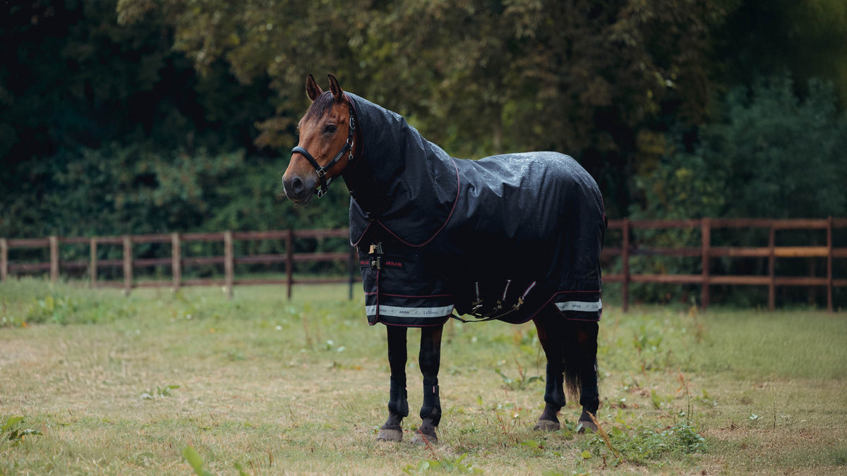 LeMieux AW25 Arika Storm-Tek Rug 350g - Black