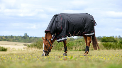 LeMieux AW25 Arika Storm-Tek Rug 350g - Black