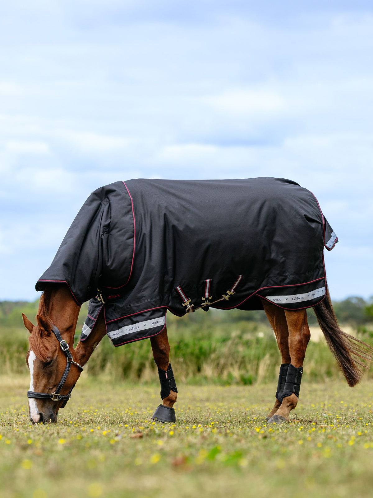 LeMieux AW25 Arika Storm-Tek Rug 350g - Black