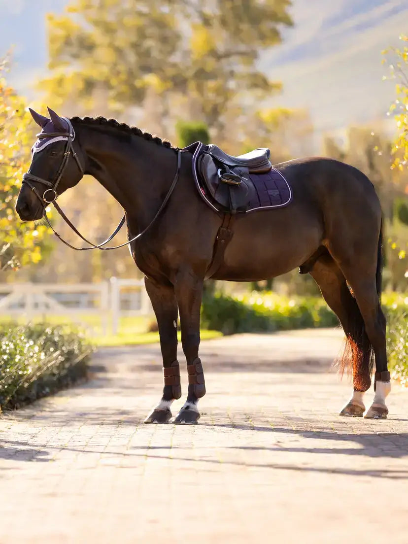 LeMieux AW25 Loire Classic Close Contact Square