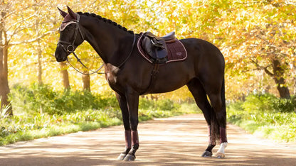 LeMieux AW25 Loire Classic Close Contact Square