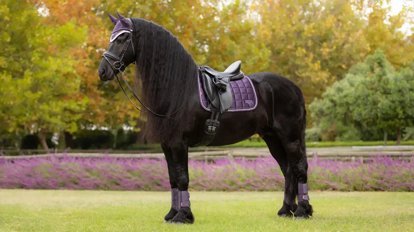 LeMieux AW25 Loire Classic Dressage Square