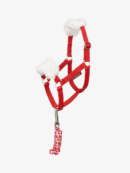 Hobby Horse Christmas Headcollar & Leadrope Red