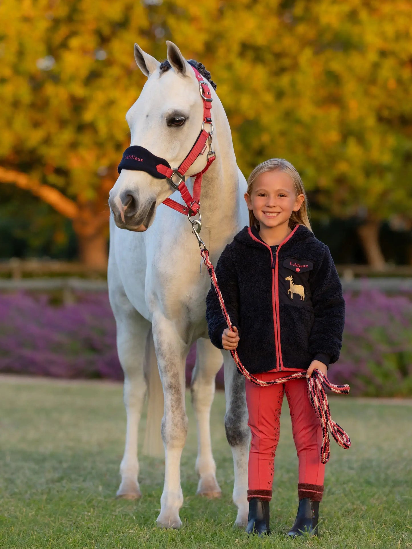 LeMieux AW25 Mini Vogue Headcollar & Leadrope