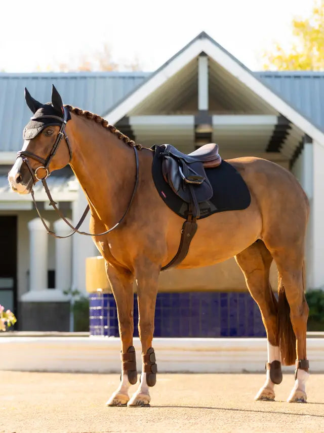 LeMieux AW25 Essence Eurojump Square