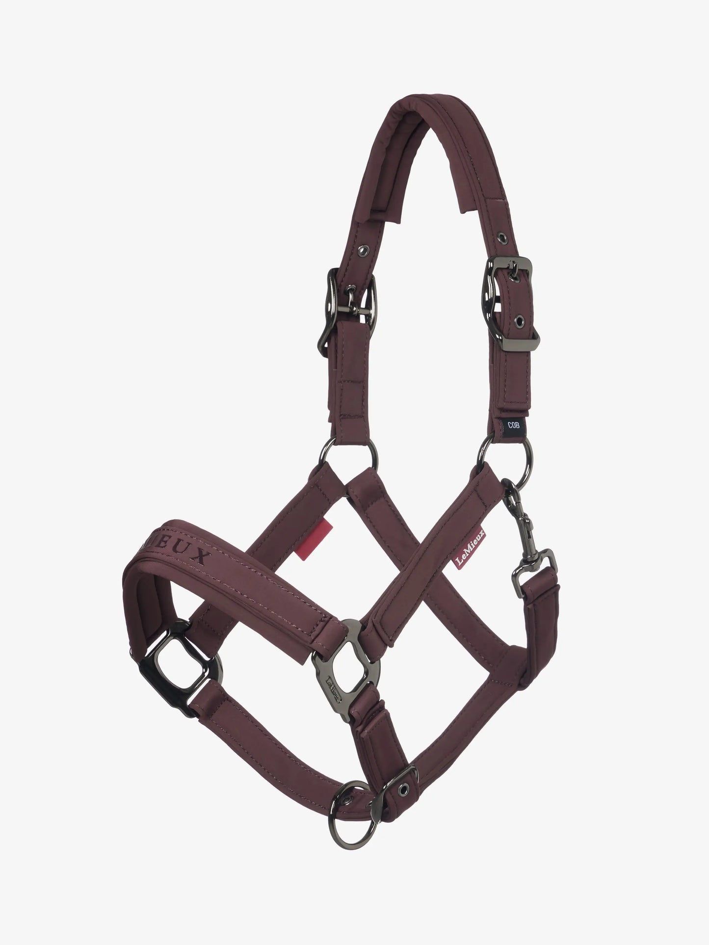LeMieux AW25 Essence Headcollar