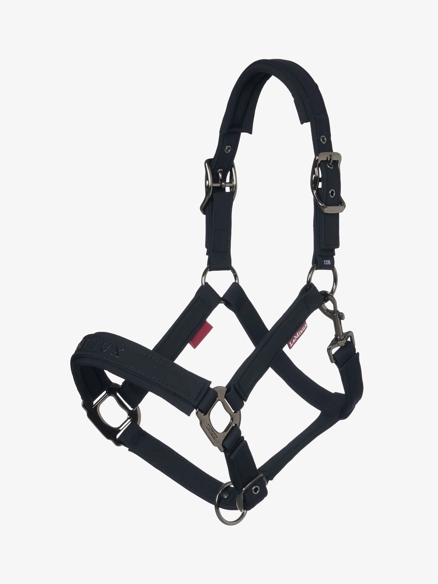 LeMieux AW25 Essence Headcollar