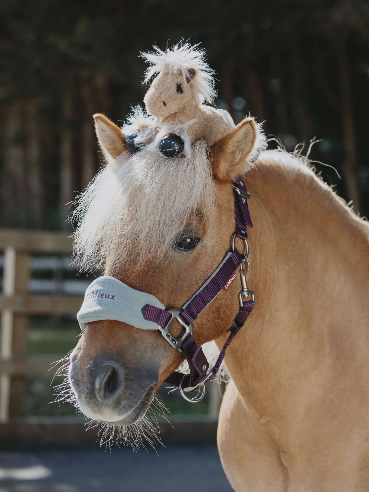 LeMieux Harlow Tiny Beanie Pony