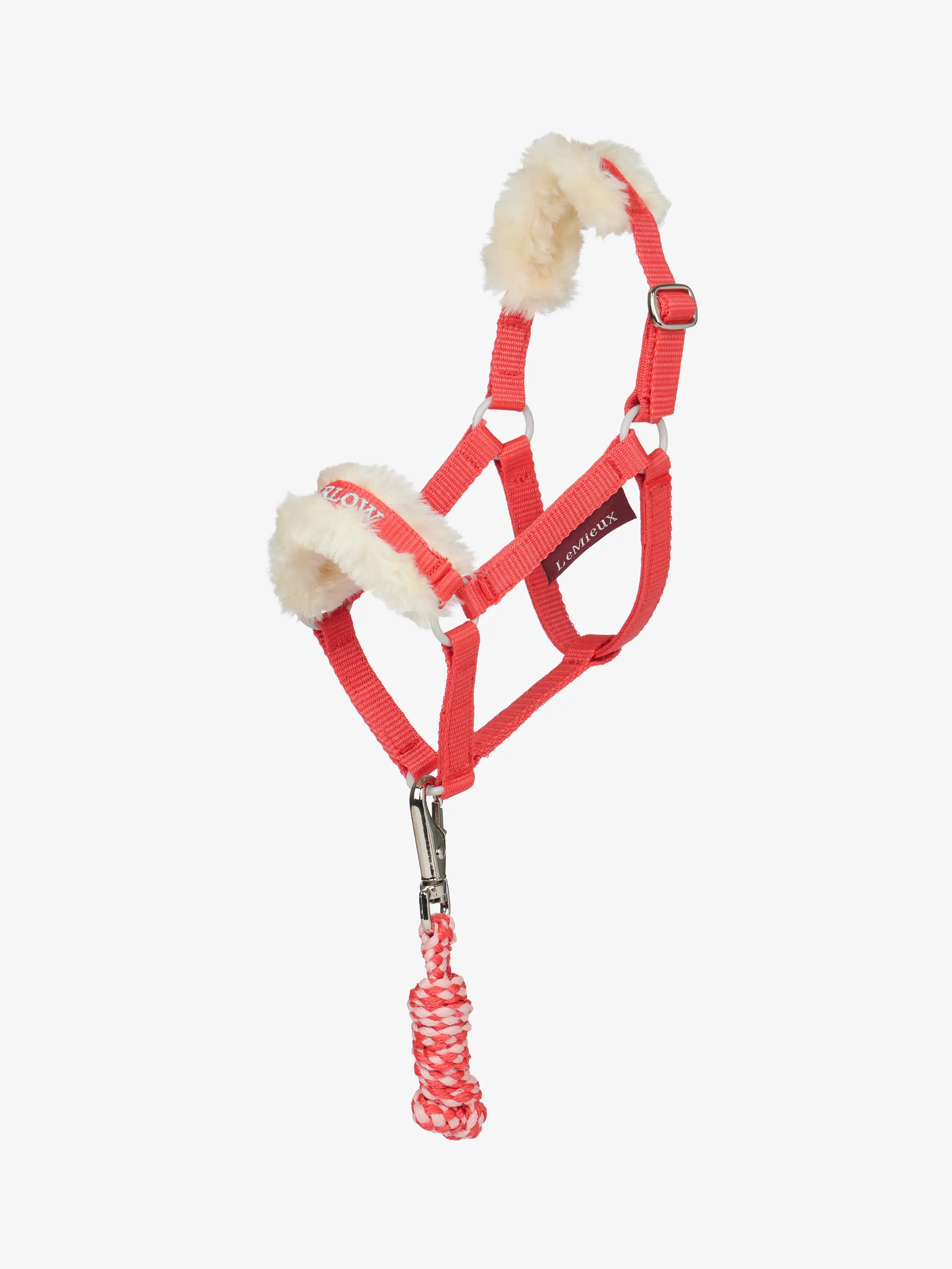 LeMieux SS26 Harlow Hobby Horse Headcollar & Leadrope
