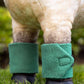 LeMieux AW23 Toy Pony Bandages - Evergreen - One Size
