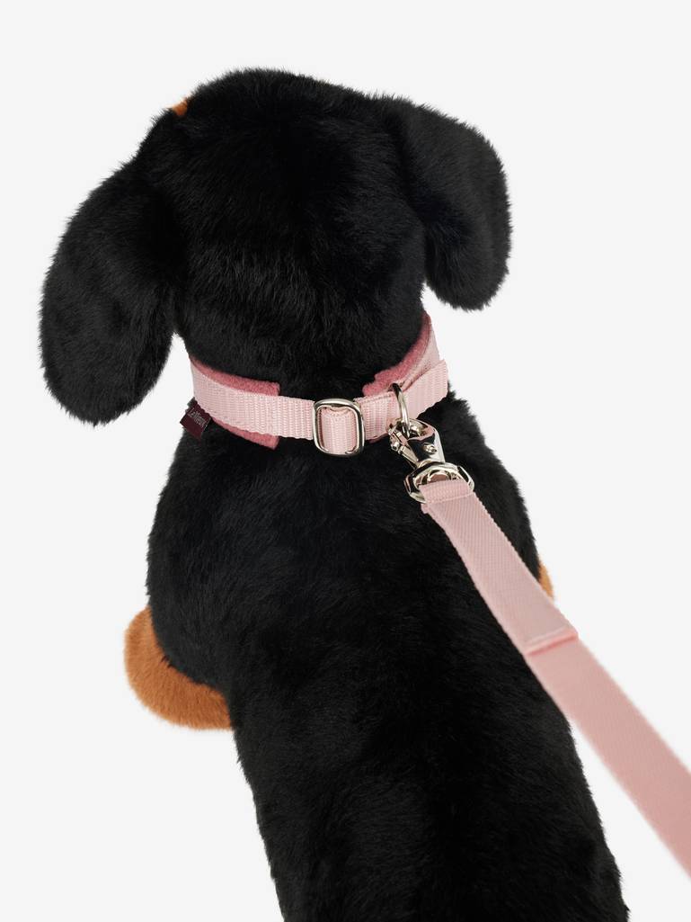 LeMieux Toy Puppy Collar & Lead - Chilli -