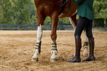 Ariat Ladies SS26 Palisade Field Tall Riding Boot