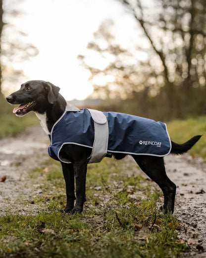 Reincoat Dog Coat