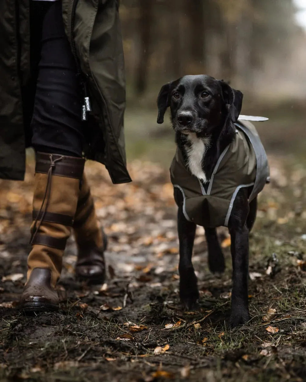 Reincoat Dog Coat