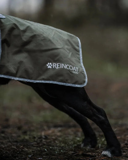 Reincoat Dog Coat