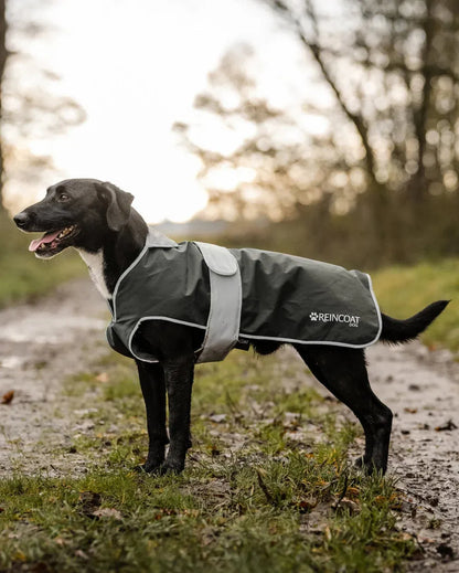 Reincoat Dog Coat