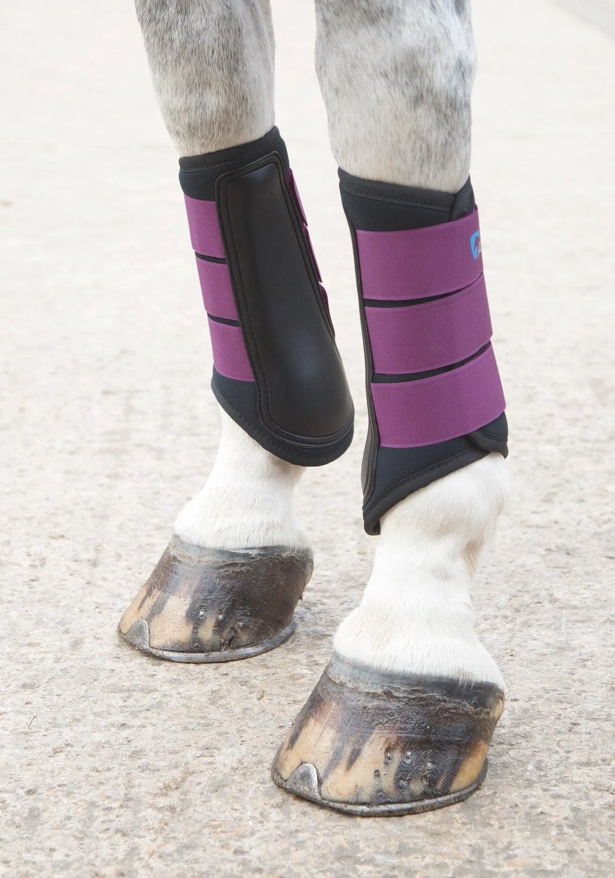 ARMA Neoprene Brushing Boots Black / Cob