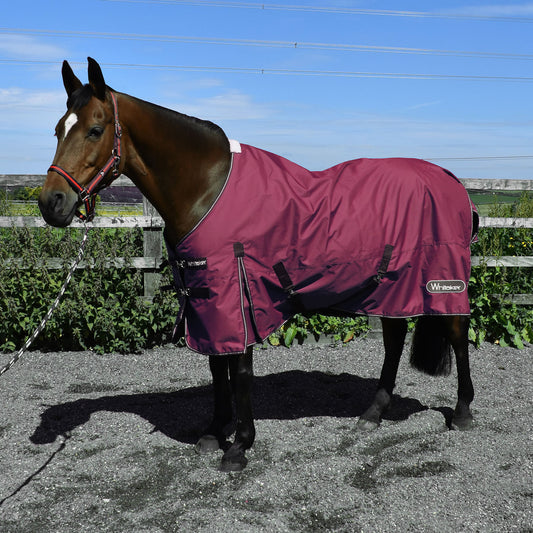 Whitaker Thistle Turnout Rug 100Gm