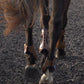 Cryochaps Exoskeleton Air Flow Boots for Horses - Black -