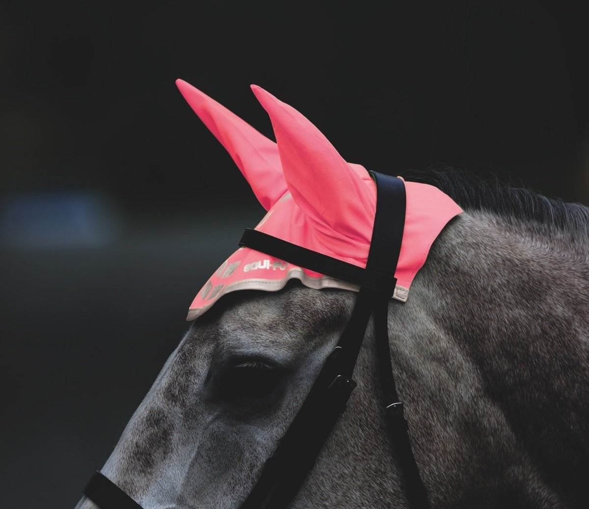 EQUI-FLECTOR® Fly Veil - Pink - Pony