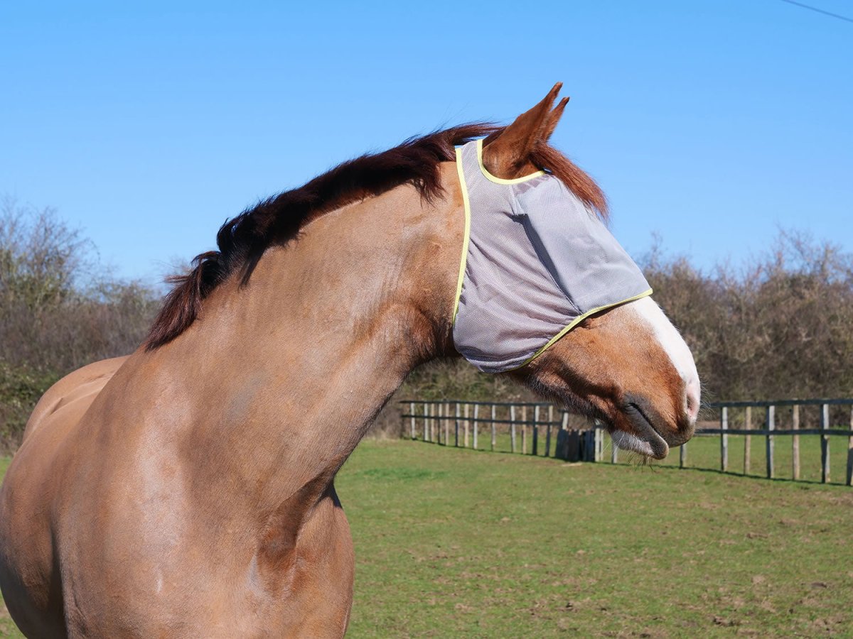 Equilibrium Field Relief Midi Fly Mask No Ears - Grey/Yellow - Extra Extra Small