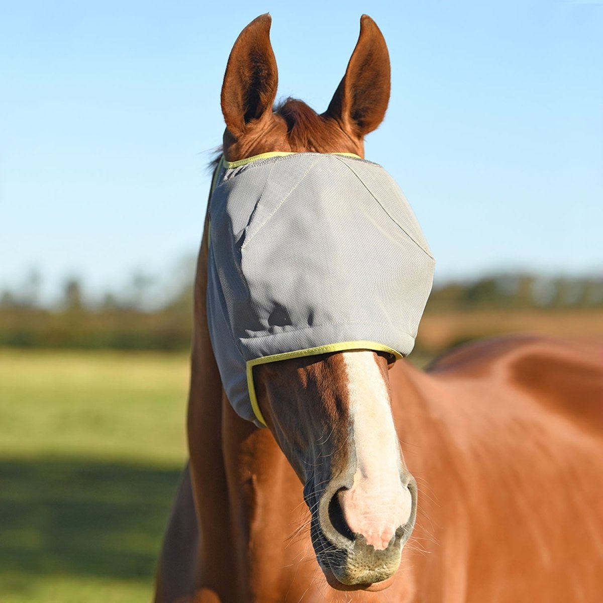 Equilibrium Field Relief Midi Fly Mask No Ears - Grey/Yellow - Extra Extra Small