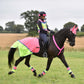 Equisafety Breathable Mesh Quarter Sheet - Pink/Yellow - ShowPony
