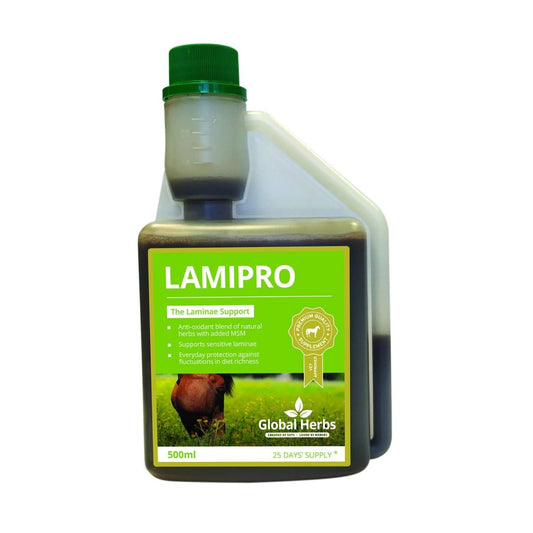 Global Herbs Lamipro Liquid - 500Ml -