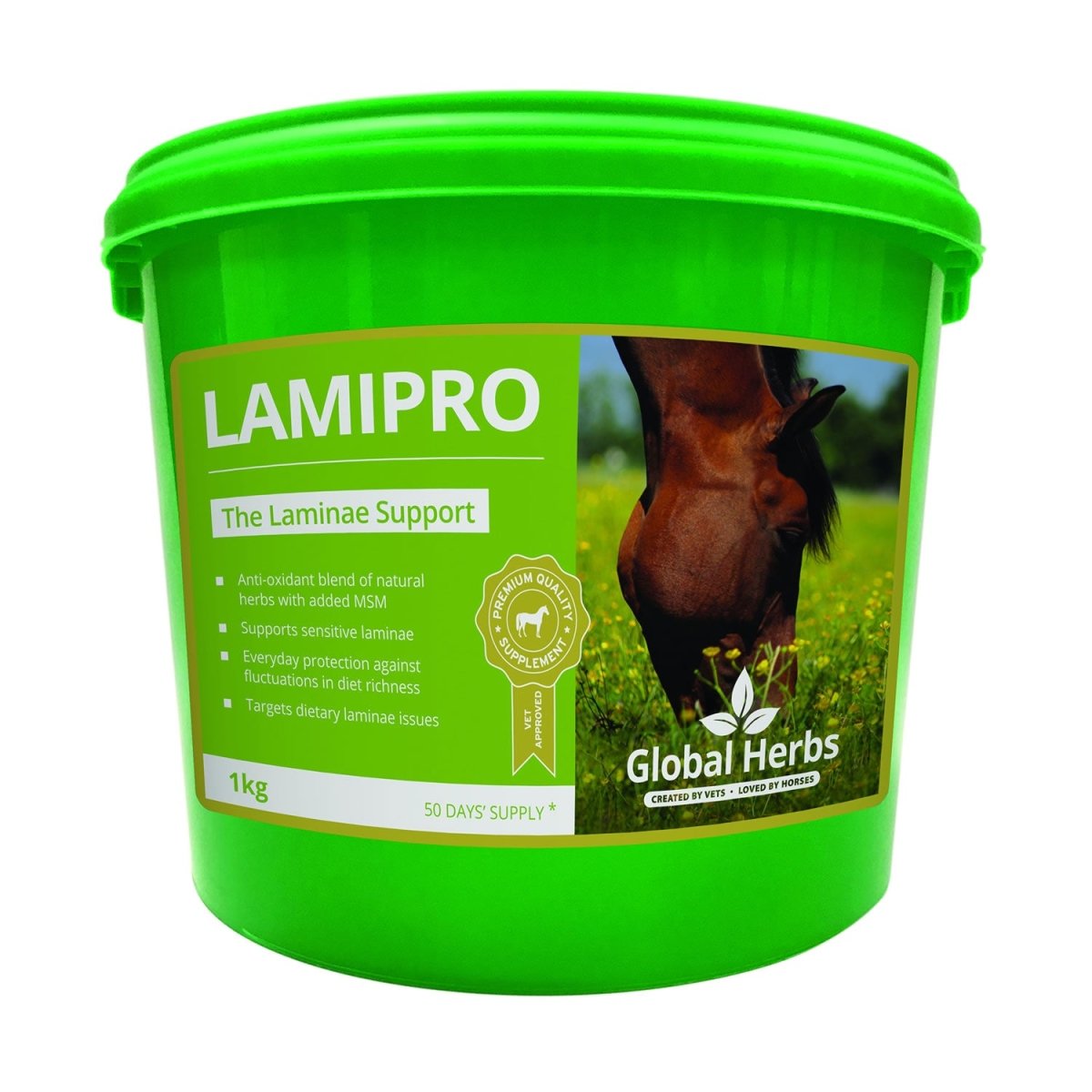 Global Herbs Lamipro Powder - 1Kg -