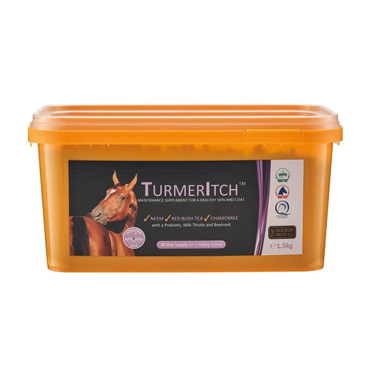 Golden Paste Company Turmeritch - 1.5Kg -