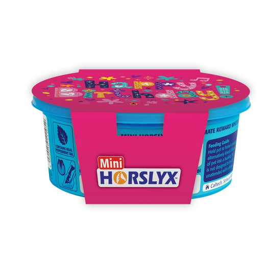 Horslyx Mini Gift Sleeves - Happy Birthday -