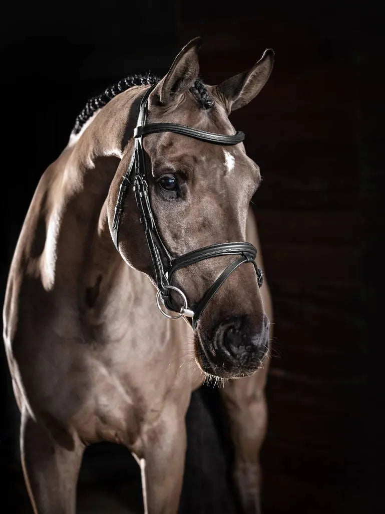 LeMieux Arika Flash Bridle - Black - Pony