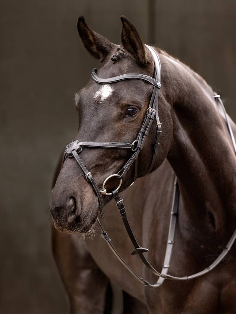 LeMieux Arika Grackle Bridle - Black - Pony
