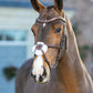 LeMieux Arika Grackle Bridle - Brown - Pony