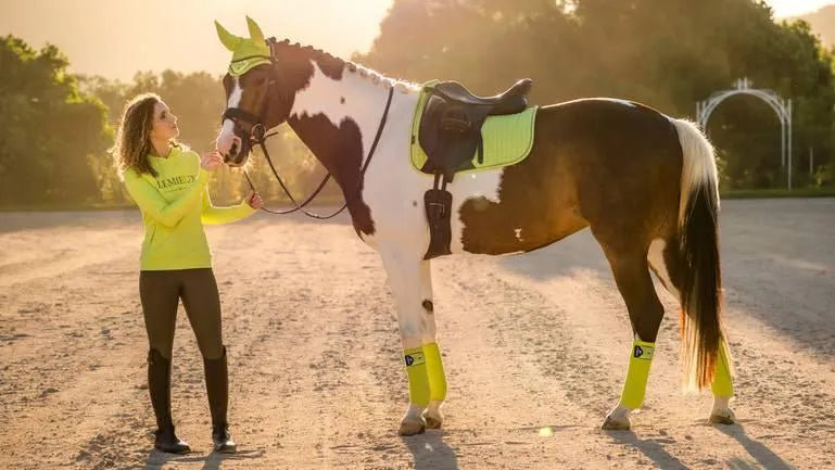 LeMieux Suede Dressage Square SS23 - Kiwi - Large