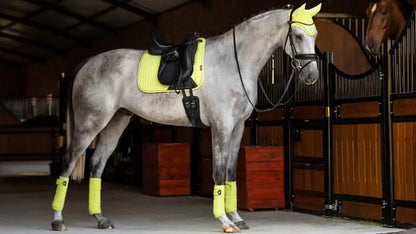 LeMieux Suede Dressage Square SS23 - Mist - Large