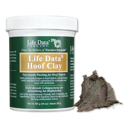 Life Data Hoof Clay - 284Gm -
