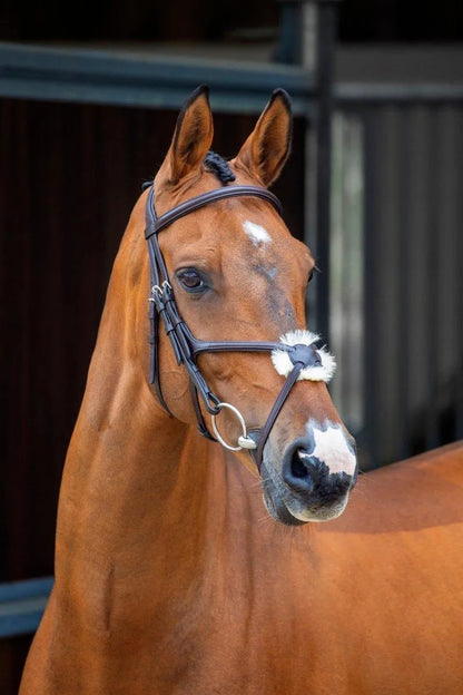 Lusso Grackle Bridle - Black - Cob
