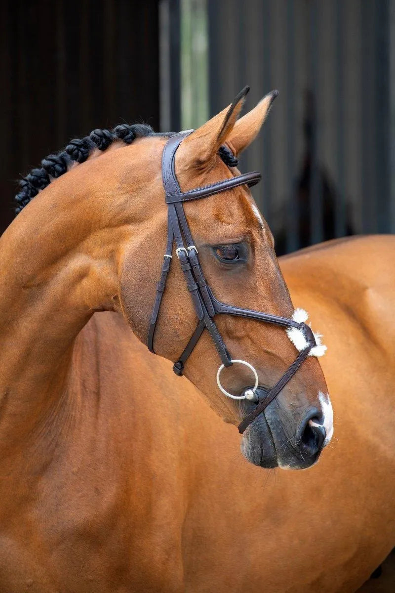 Lusso Grackle Bridle - Black - Cob