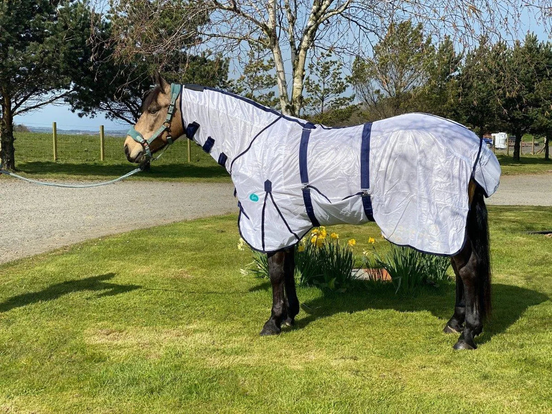Storm Equine Combo Fly Rug | Ayr Equestrian
