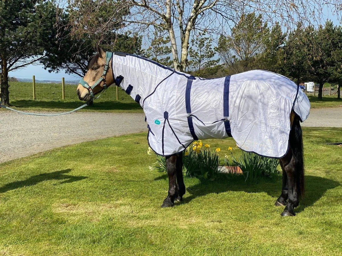 Storm Equine Combo Fly Rug | Ayr Equestrian