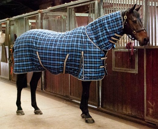 Storm Equine Combo Stable Rug - 200g Fill - 5ft -
