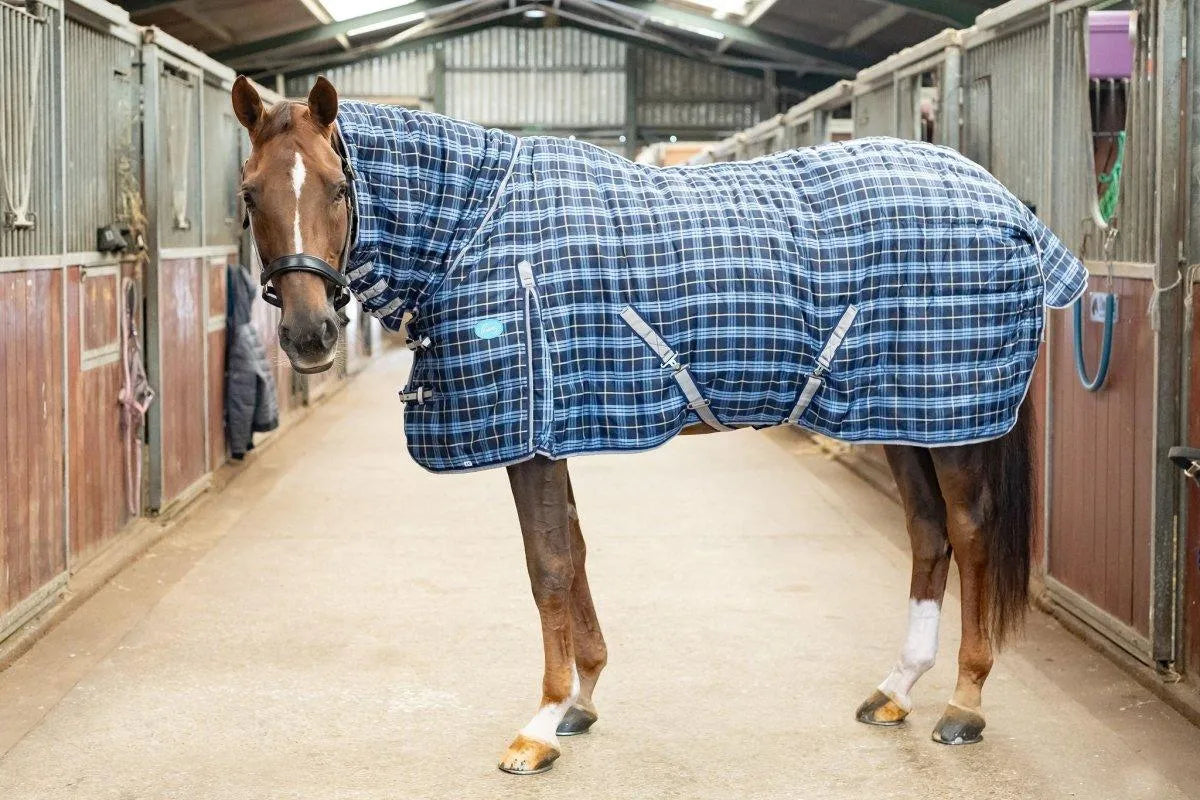400g Stable Rug Storm Equine Combo Stable Rug - 400g Fill | Ayr Equestrian