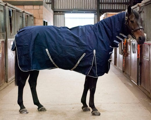 Storm Equine Combo Turnout Rug - 200g Fill - 5ft -