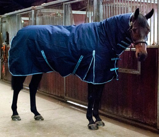Storm Equine Combo Turnout Rug - 400g Fill - 5ft -