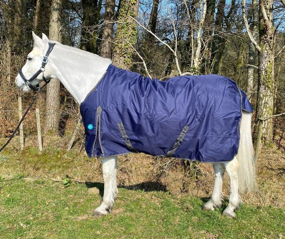 Storm Equine Turnout Rug - Standard Neck - 200g Fill - 5ft -