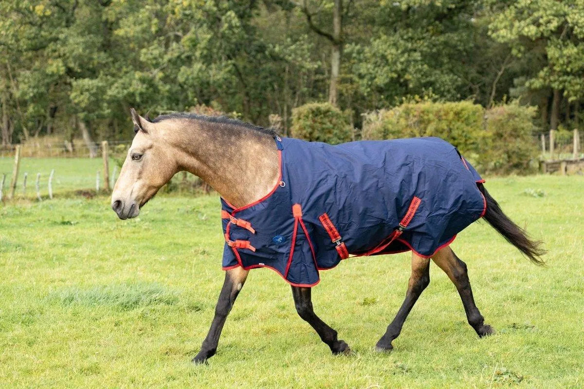 Turnout Rug Fun Pattern Storm Equine Turnout Rug - Standard Neck - Zero Fill | Ayr Equestrian