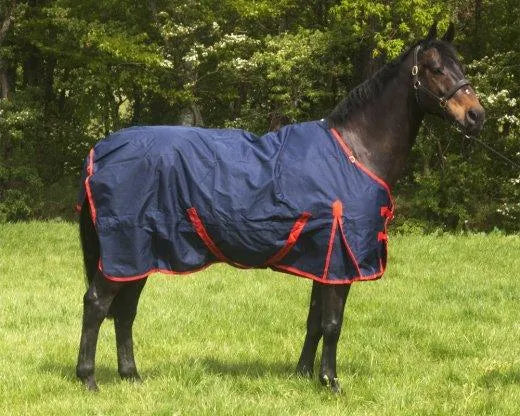 Turnout Rug Fun Pattern Storm Equine Turnout Rug - Standard Neck - Zero Fill | Ayr Equestrian